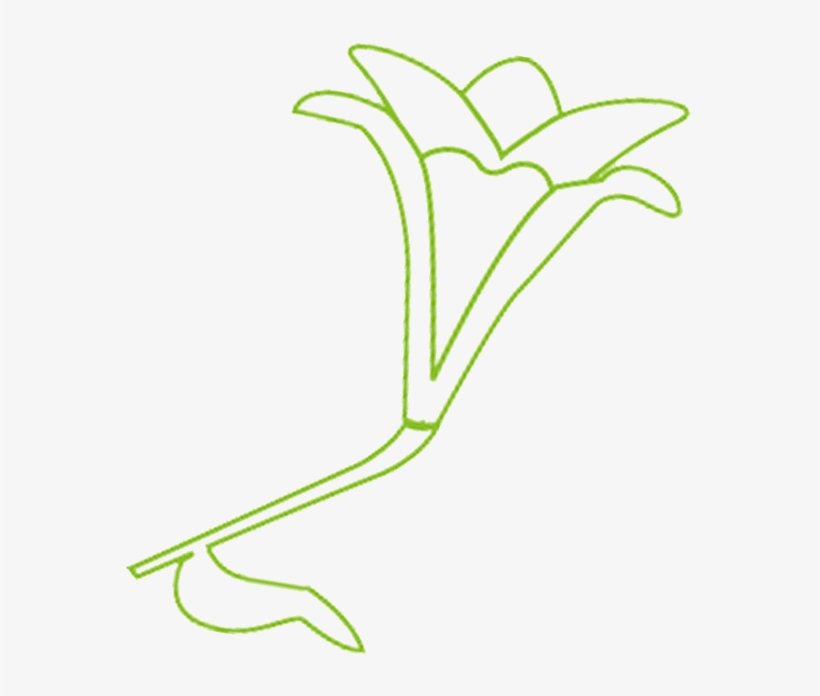 Designevo, transparent png #9229933