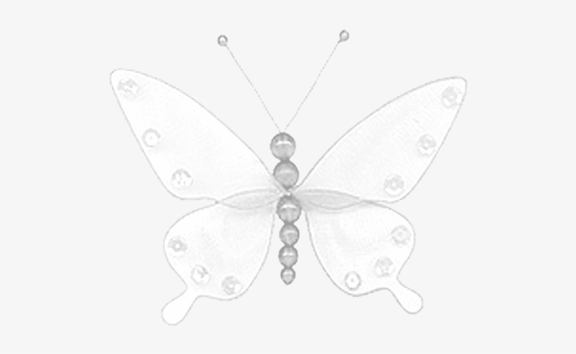 Butterfly, transparent png #9230116