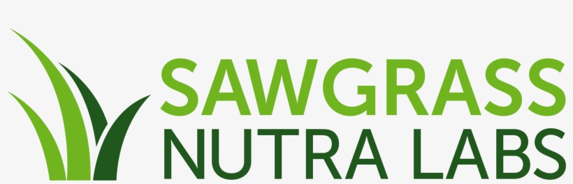 Oval, transparent png #9230351