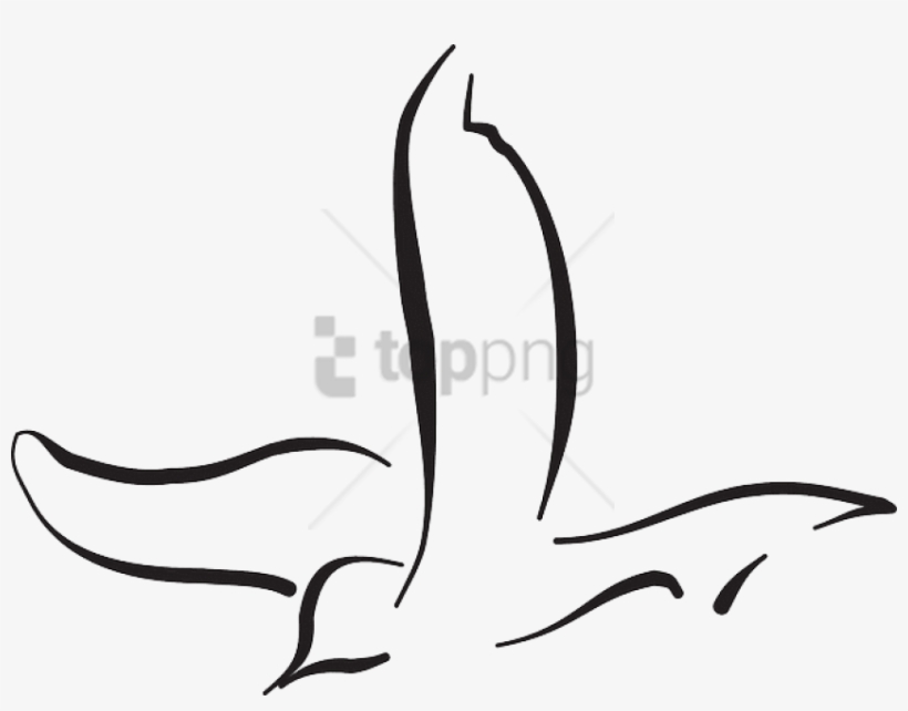 Free Png Download Flying Bird Line Drawing Png Images - Bird Line Art Flying, transparent png #9231656