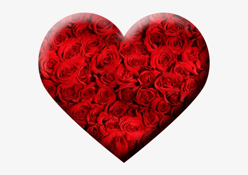 Free Download Stylish 3d Heart Png Transparent Background - Rose Sublimation T Shirt, transparent png #9231817