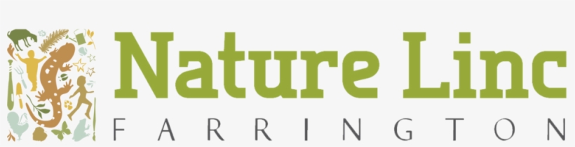 Nature Linc Transparent, transparent png #9233549