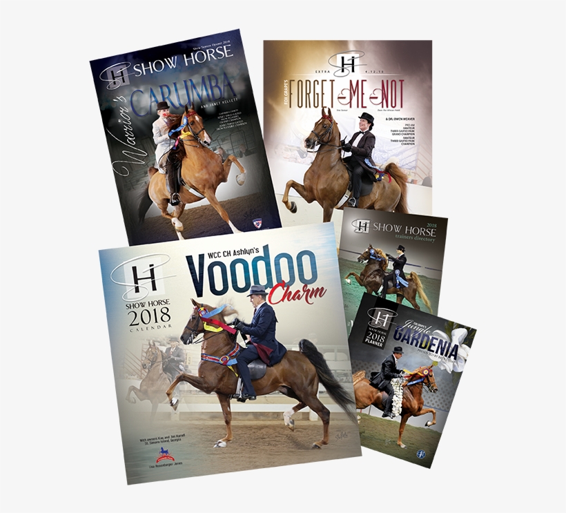 We Have A Limited Number Of Back Calendars, Planners, - Sorrel, transparent png #9234962