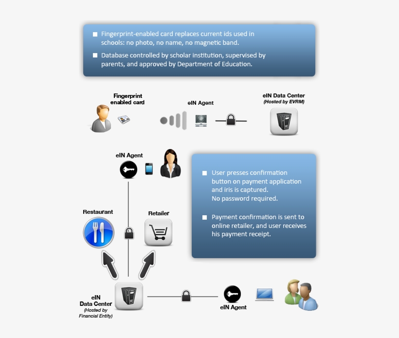 Servicesillustration - Web Page, transparent png #9235121