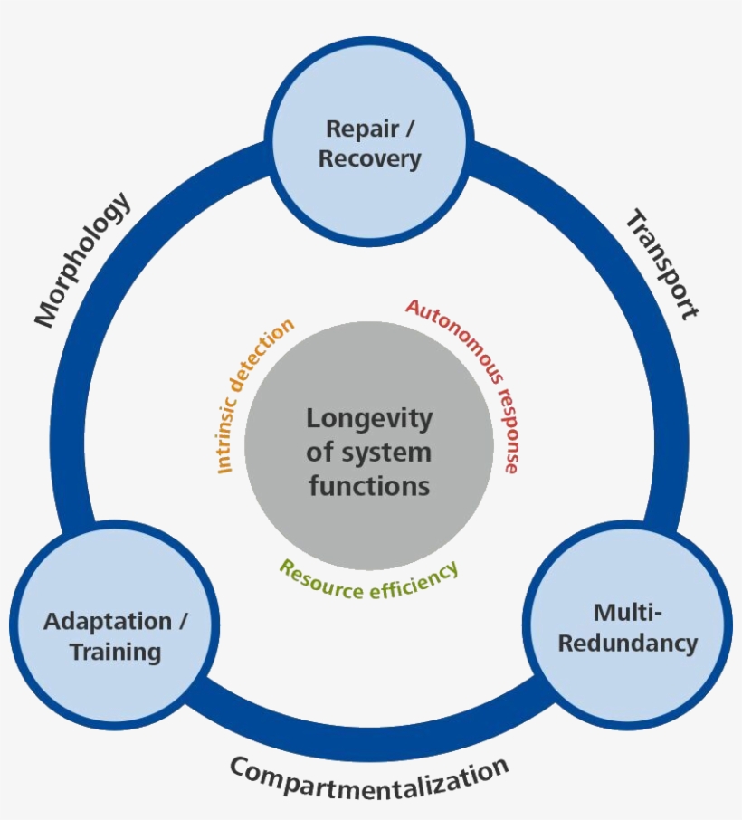 C-2 Kreisgraphik Hp - Circle, transparent png #9236440