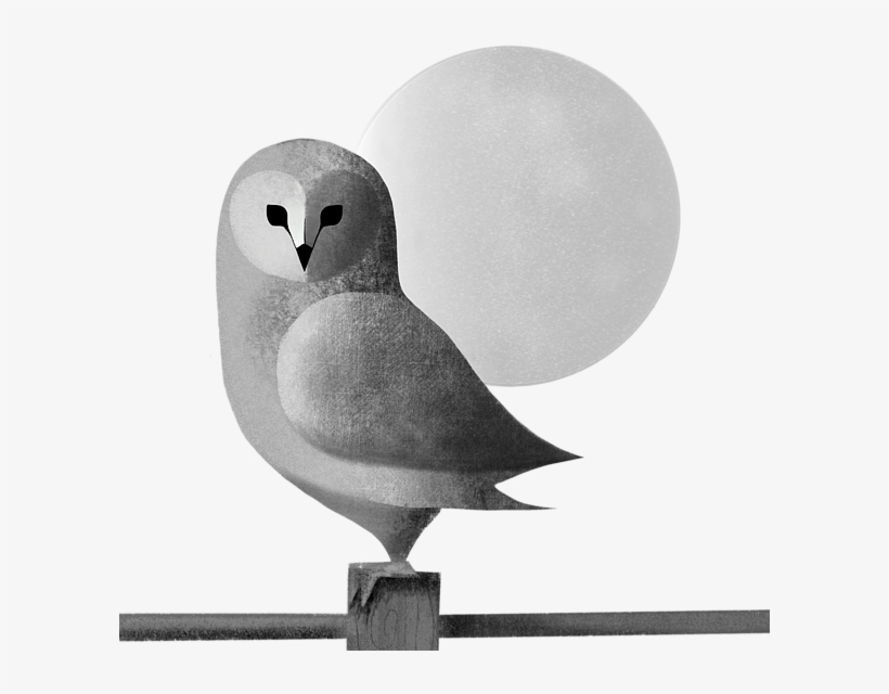 Click And Drag To Re-position The Image, If Desired - Owl, transparent png #9236814