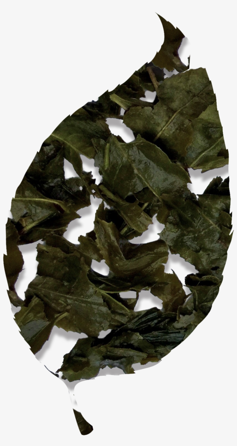Bancha Green Tea - Oak, transparent png #9236944