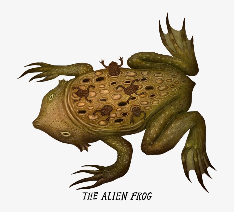 Creepy Frogs, transparent png #9237936