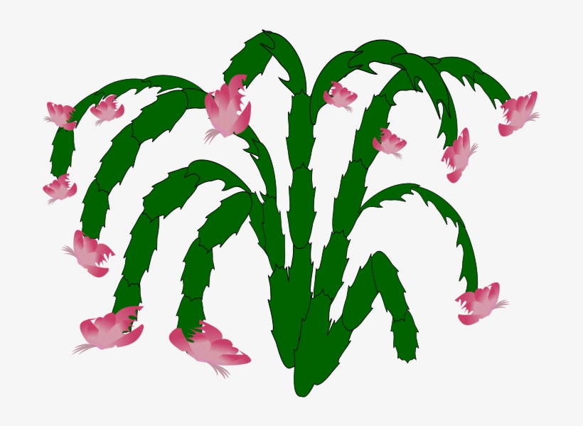 Plants 001 Free Plant-03 - Cactus, transparent png #9238932