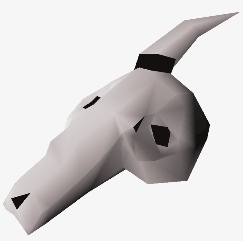 The Strange Skull Is An Item That Players Can Use With - Northrop Grumman B-2 Spirit, transparent png #9238937