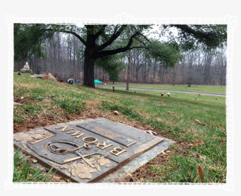 Video Message From The Dead - Grass, transparent png #9240016