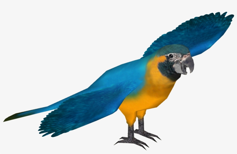 Blue Throated Macaw - Blue Throated Macaw Transparent, transparent png #9243230