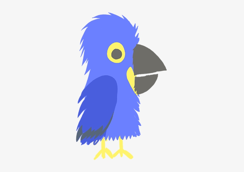 Macaw, transparent png #9243429