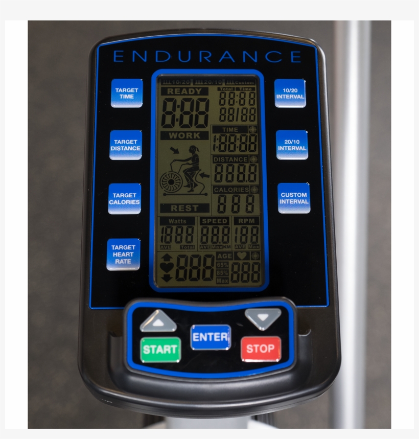 Sdr35 Pair - Body Solid Body-solid Endurance Fb300, transparent png #9244053