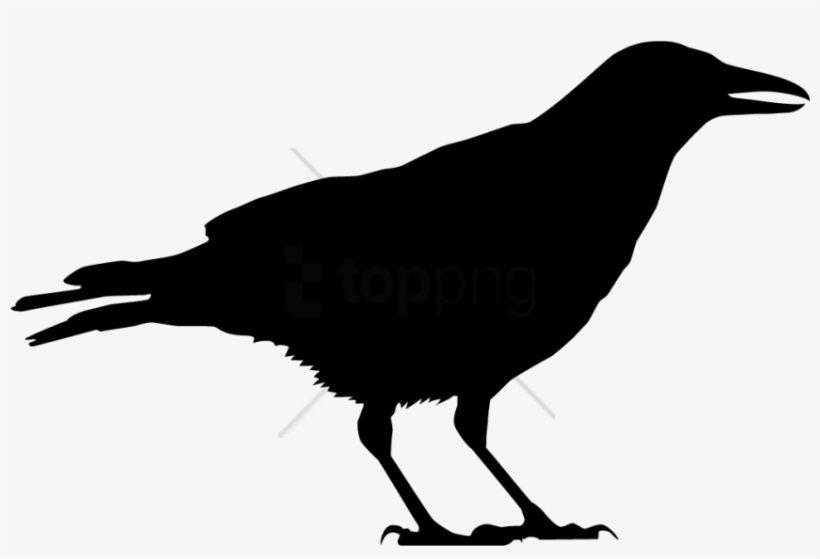 Free Png Black Crow Silhouette Png Image With Transparent - Black And White Crow Free, transparent png #9244812