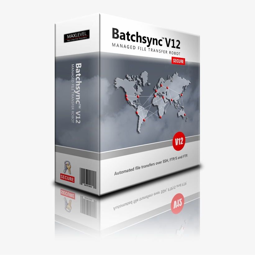 Two Batchsync V12 Licenses - Flyer, transparent png #9245344