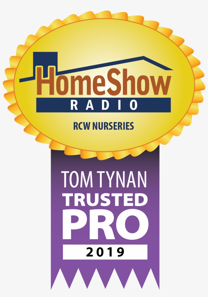 Clump Or Multi-cane Trees - Graphic Design, transparent png #9246944