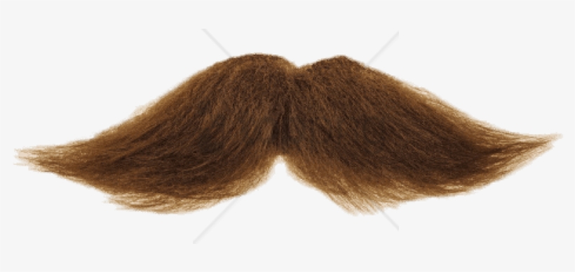 Free Png Download Mustache Brown Png Images Background Imagenes