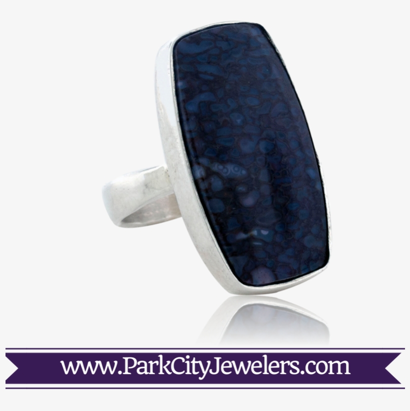 Dinosaur Bone Ring - Titanium Ring, transparent png #9247847