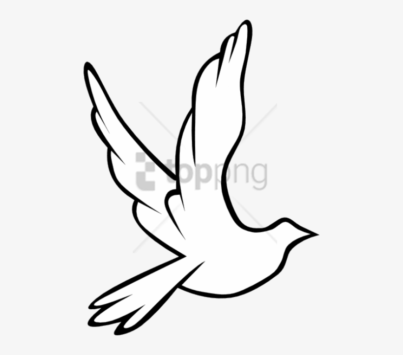 Free Png Download Black And White Flying Birds Png - Turtle Dove Drawing, transparent png #9248383