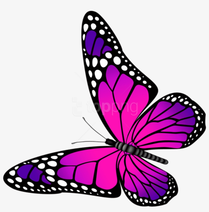 Free Png Download Butterfly Pink And Purple Transparent - Pink And Purple Butterfly Clipart, transparent png #9248602