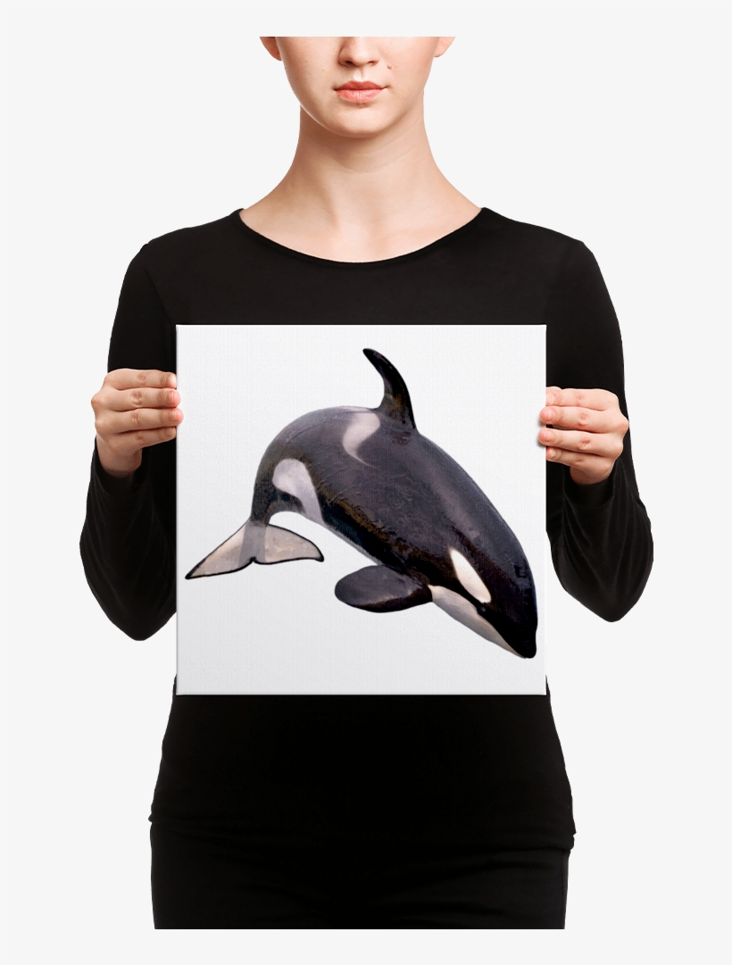 Killer-whale Canvas - Canvas, transparent png #9248604