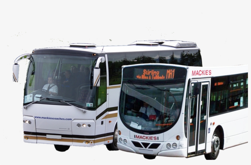 Contact Information - Tour Bus Service, transparent png #9248646