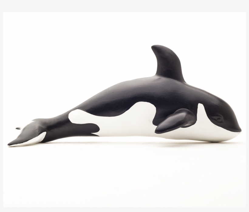 Green Rubber Toys Marine Set - Killer Whale, transparent png #9248652