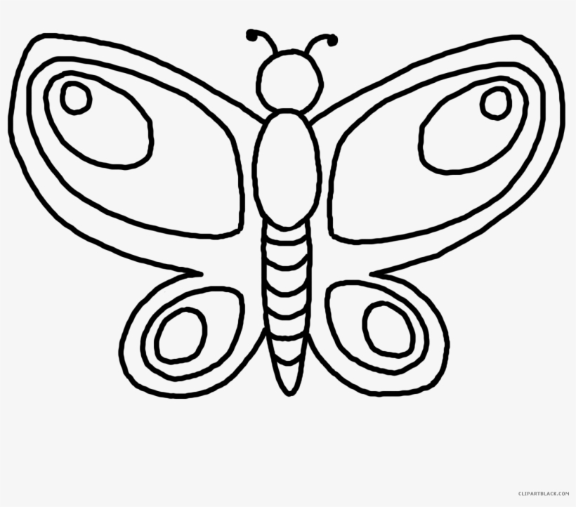 Kisspng Butterfly Drawing Clip Art Outline 5b5b303e806e69 Black And White Clipart Butterfly Free Transparent Png Download Pngkey