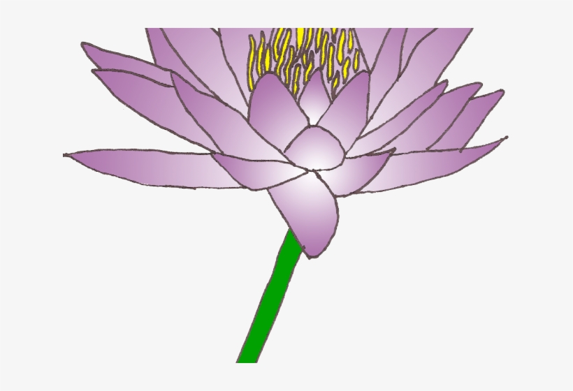 Water Lily Clipart Lily Pad - Sacred Lotus, transparent png #9249317