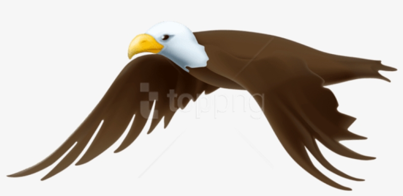 Free Png Download Eagle Transparent Png Images Background - Bald Eagle, transparent png #9249526