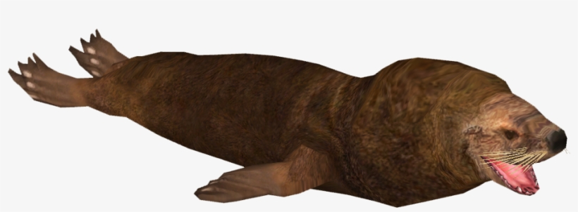 South American Sea Lion - Steller Sea Lion, transparent png #9249956