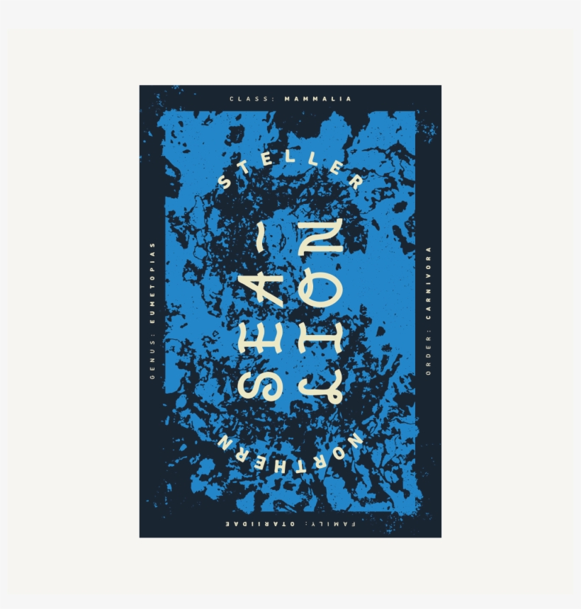 Steller Sea Lion, transparent png #9250030