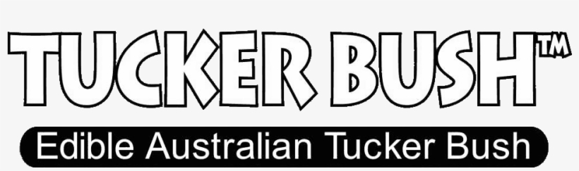 Tucker Bush Is A Range Of Australian Native Plants - Bootstrap, transparent png #9250031