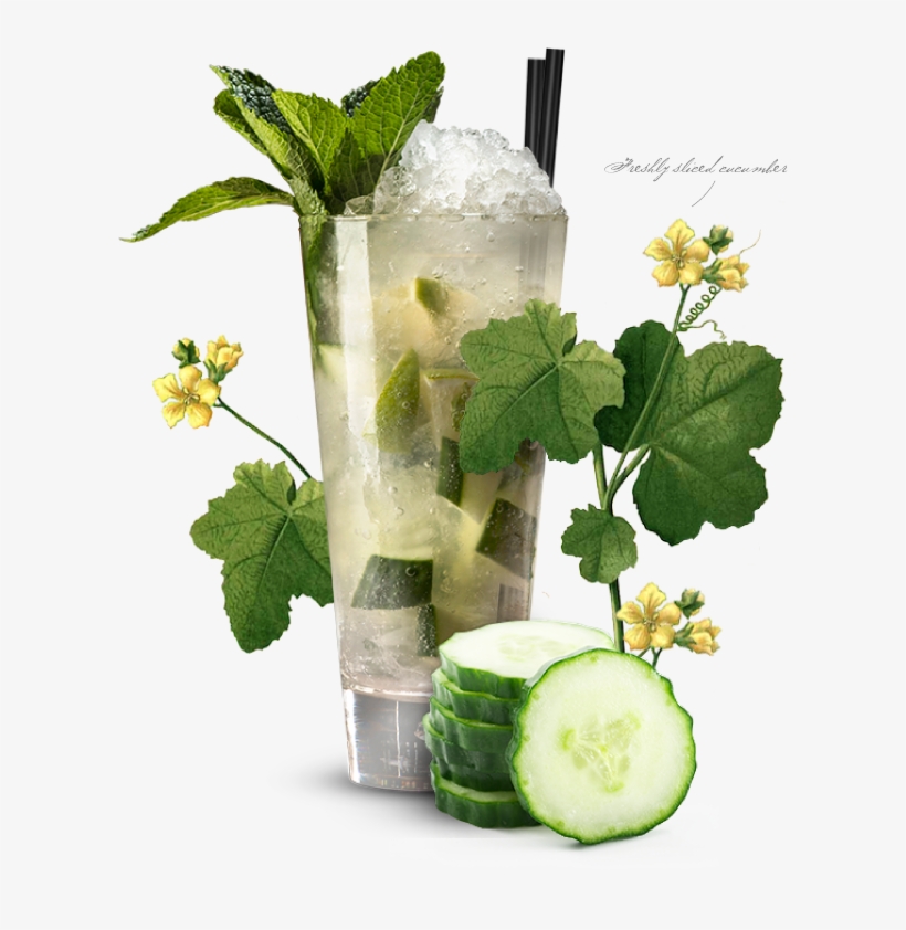 The Blighty Mojito - Mojito, transparent png #9251201