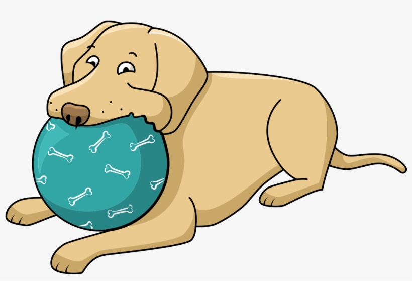 1163 X 874 5 - Dibujos De Perritos Labrador Kawaii, transparent png #9251527