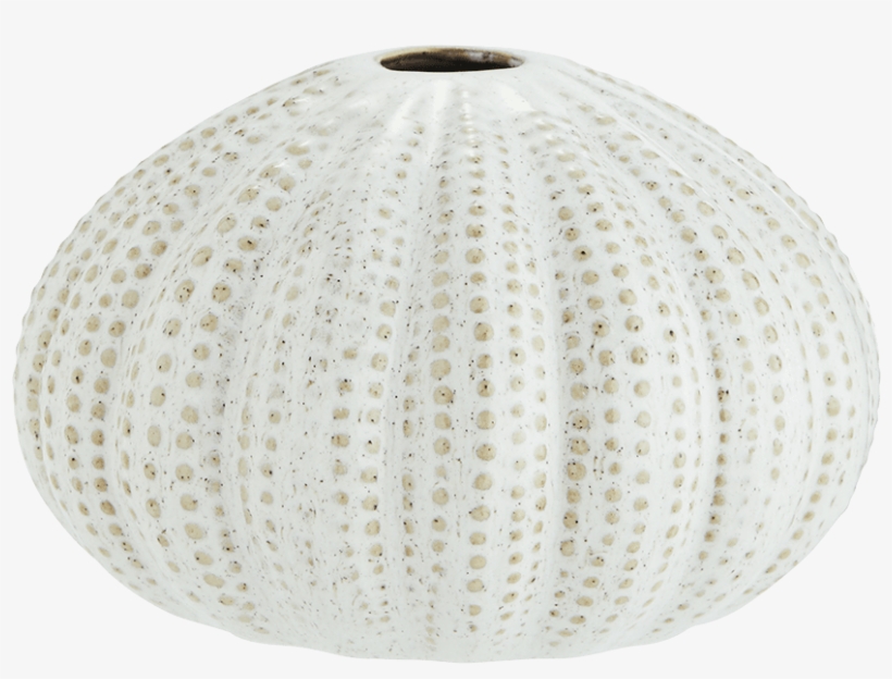 Off White Sea Urchin Vase - Ceiling Fixture, transparent png #9251853