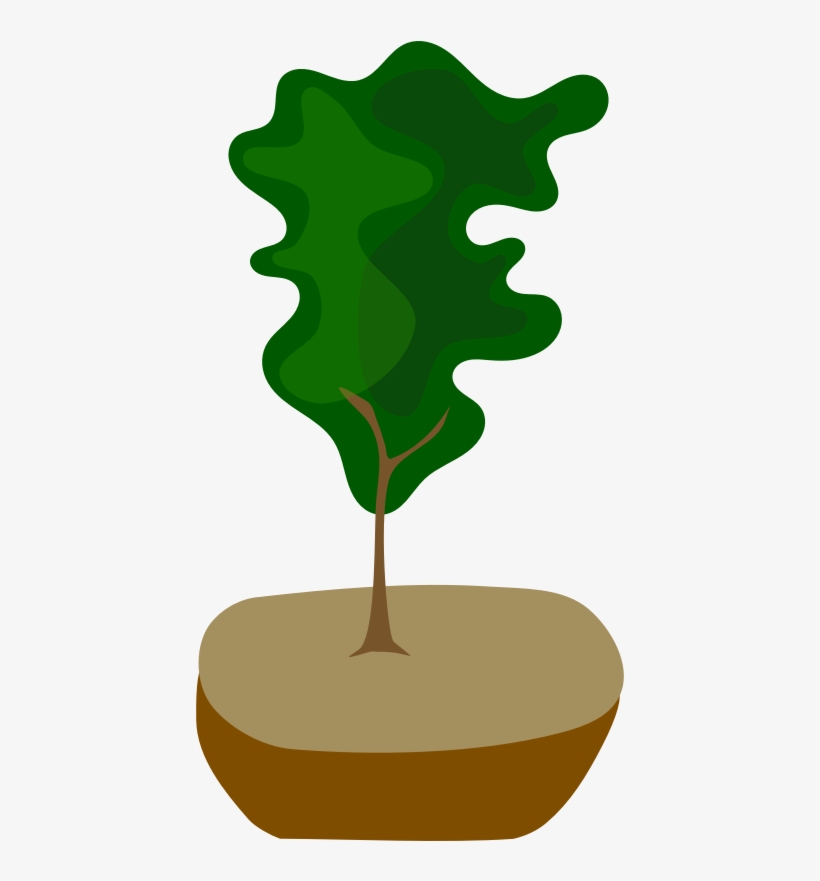 Tree In Pot - Bonsai, transparent png #9252696