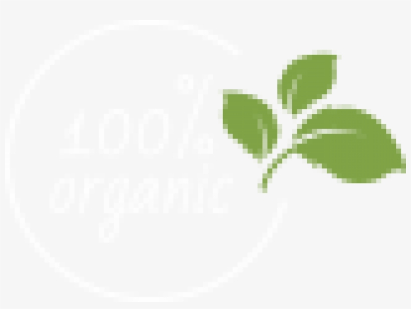 Slider21 Logo, transparent png #9253512