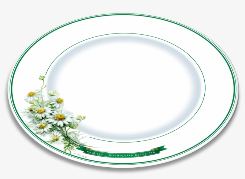 Herbal Motif Plate Chamomile - Plate, transparent png #9254050