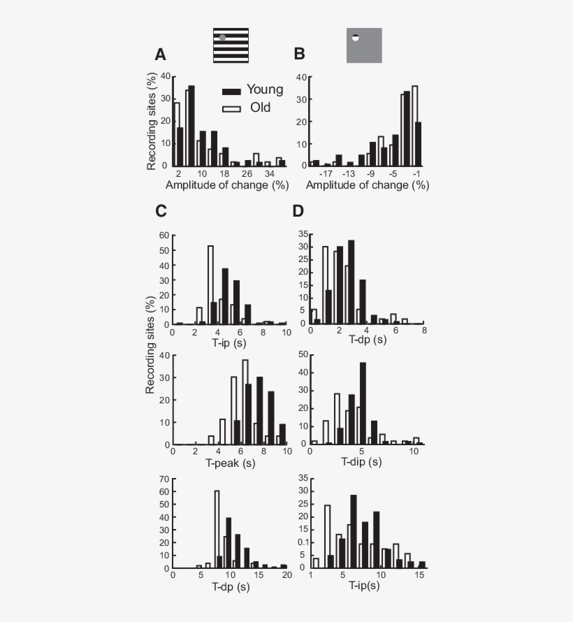 Histograms Are Presented Of Amplitude And Temporal - Diagram, transparent png #9254470