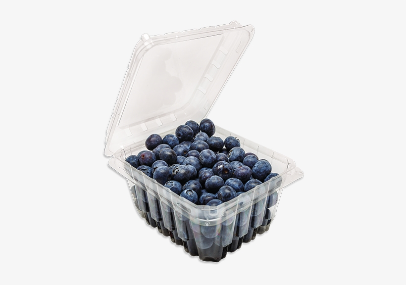 Hinged Blueberry Container - Bilberry, transparent png #9255812