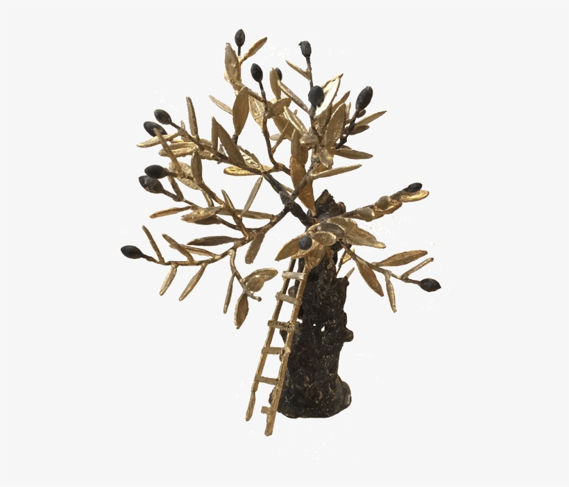 Bronze Olive Tree - Pine Family, transparent png #9256251