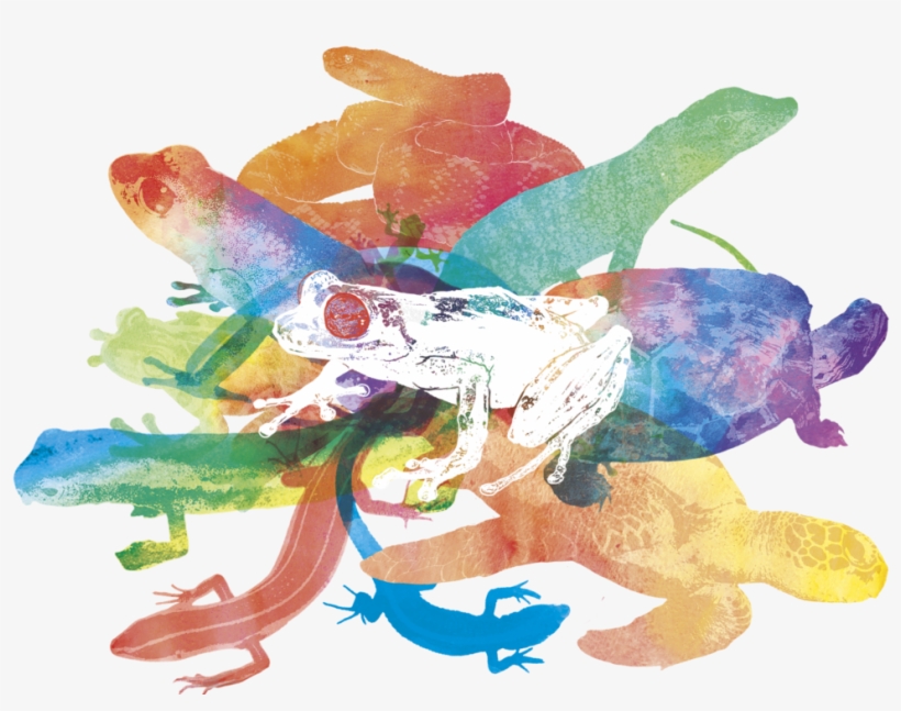 Compo Animales-1024x724 - Animal Figure, transparent png #9258114