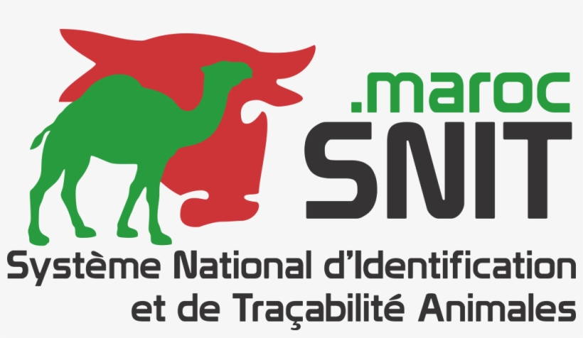 Maroc Was Launched To The Public In February 2015 To, transparent png #9258179