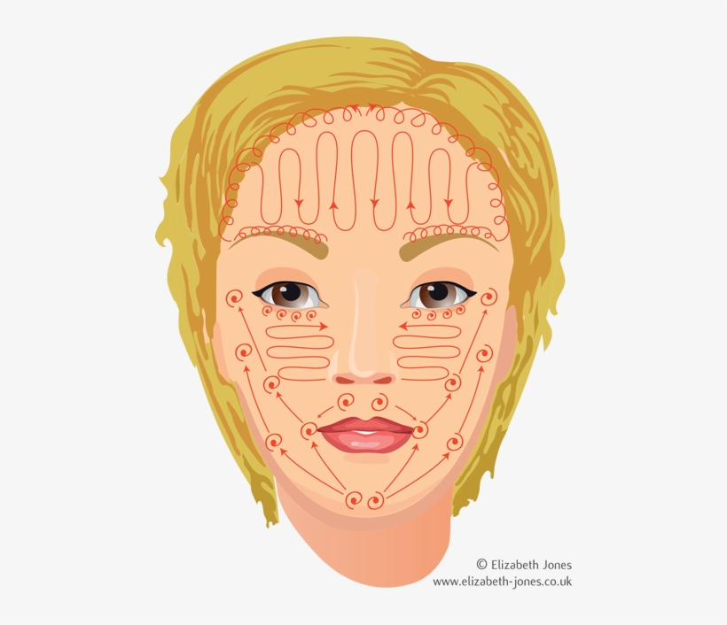 Ayurvedic Facial Massage Techniques - Illustration, transparent png #9258965