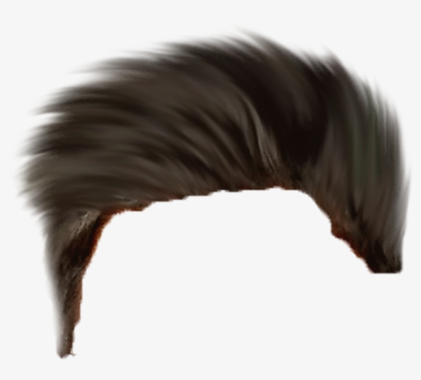 Hear Png ➤ Download - Horse, transparent png #9259100