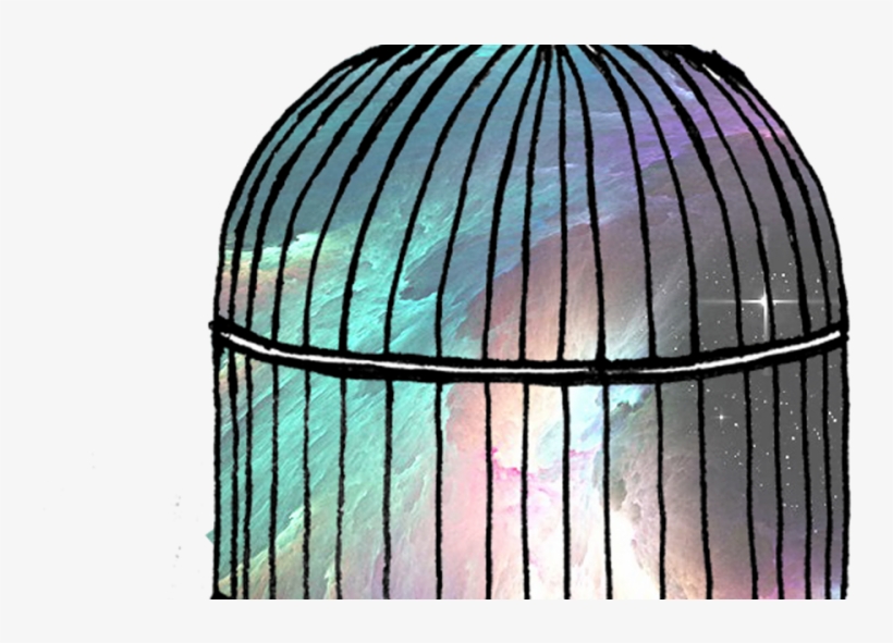 Spacecage-1020x510 - Circle, transparent png #9259246