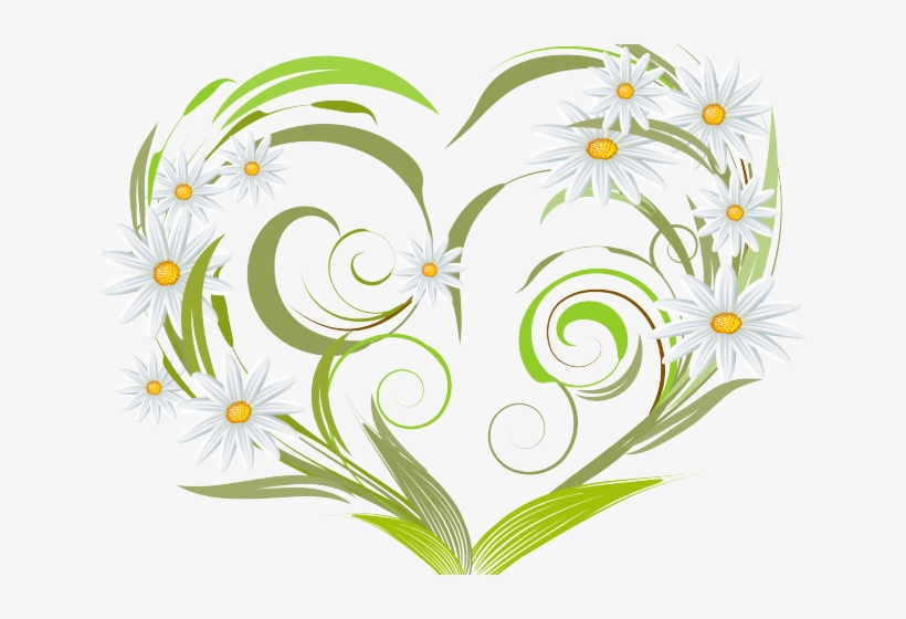 Daisy Clipart Margarita Flower - Heart Vector, transparent png #9259601