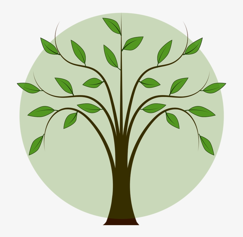 Folhas De Arvore Png - Arbol Con Ramas Y Hojas, transparent png #9259608